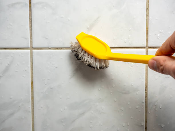 Best Localized Mold Remediation (e.g., coastal areas, humid climates) in Seymour, WI