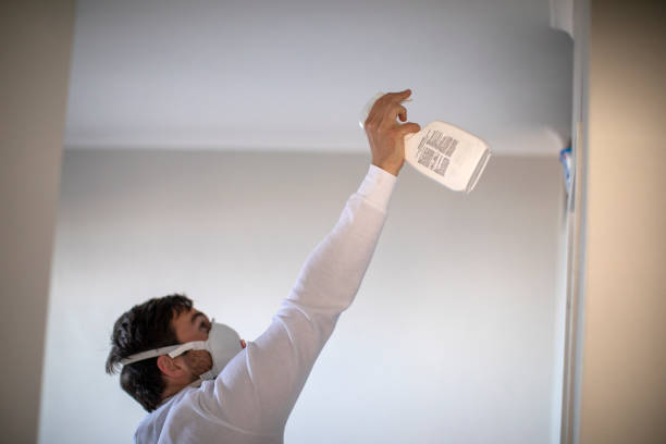 Best Kitchen Mold Remediation in Seymour, WI
