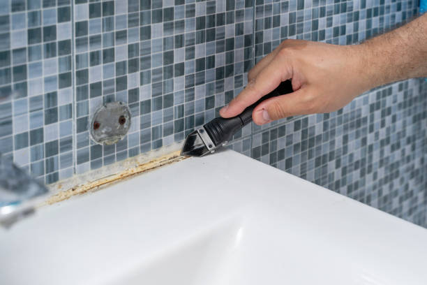 Best Preventive Mold Services in Seymour, WI
